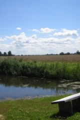 zomerweken_2007_38_20101220_1840138155