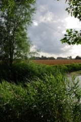 2009